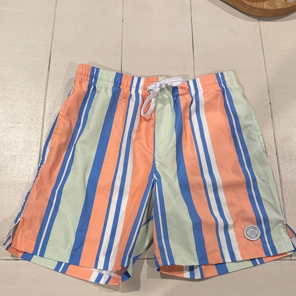 Brooklyn Cloth Multicolor Striped Swim Trunks